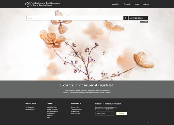 landing page
