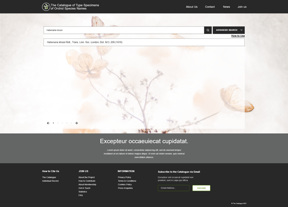 search results page