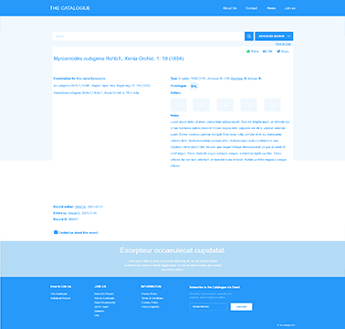 Wireframe screen 1